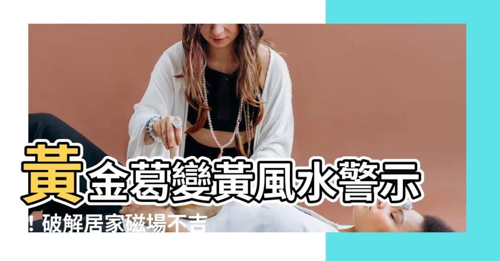 【黃金葛變黃風水】黃金葛變黃風水警示!破解居家磁場不吉之兆