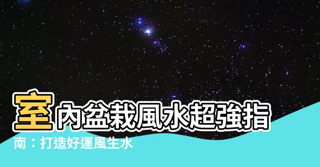 【室內盆栽風水】室內盆栽風水超強指南：打造好運風生水起！