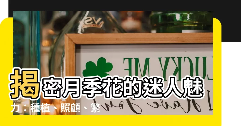 【月季花】揭密月季花的迷人魅力：種植、照顧、繁殖與開花時間大公開