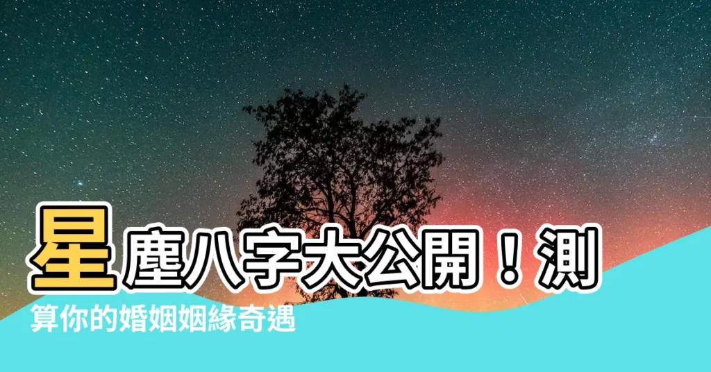 【星塵八字】星塵八字大公開！測算你的婚姻姻緣奇遇