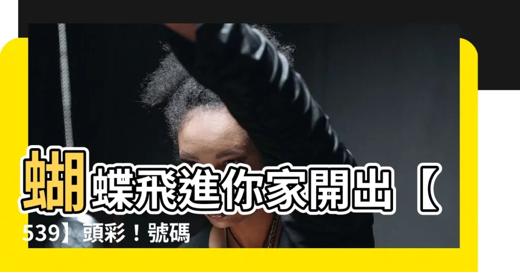 【蝴蝶飛進 家裡幾號】蝴蝶飛進你家開出【539】頭彩！號碼公開，快來領取神靈指引！