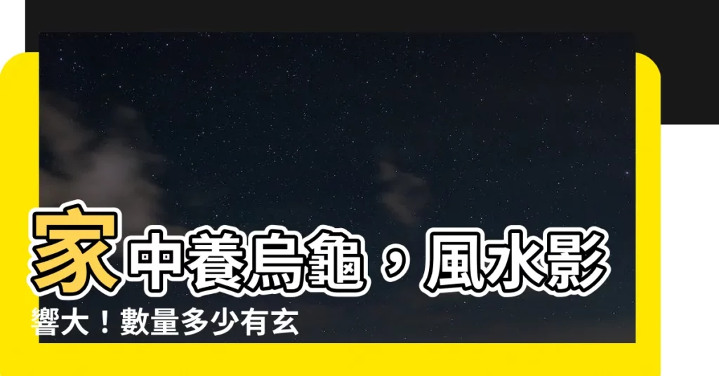 【烏龜可以養幾隻】家中養烏龜，風水影響大！數量多少有玄機？