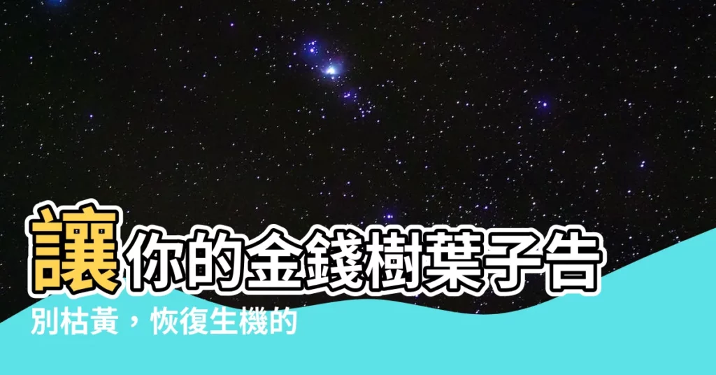 【金錢樹黃葉】讓你的金錢樹葉子告別枯黃，恢復生機的秘笈！