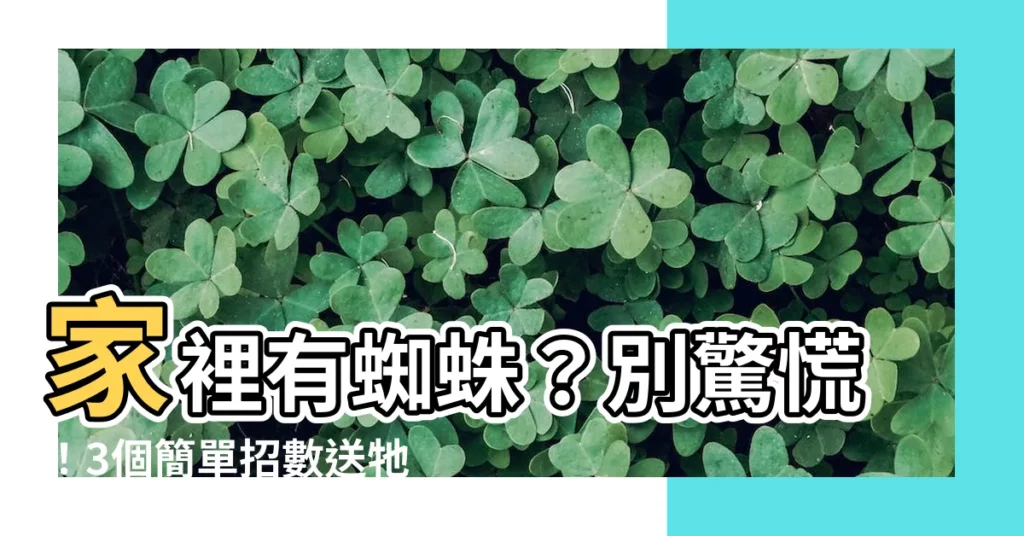 【蜘蛛在家裡】家裡有蜘蛛？別驚慌！3個簡單招數送牠離開！