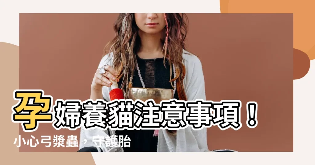 【孕婦養貓 注意】孕婦養貓注意事項!小心弓漿蟲,守護胎兒健康