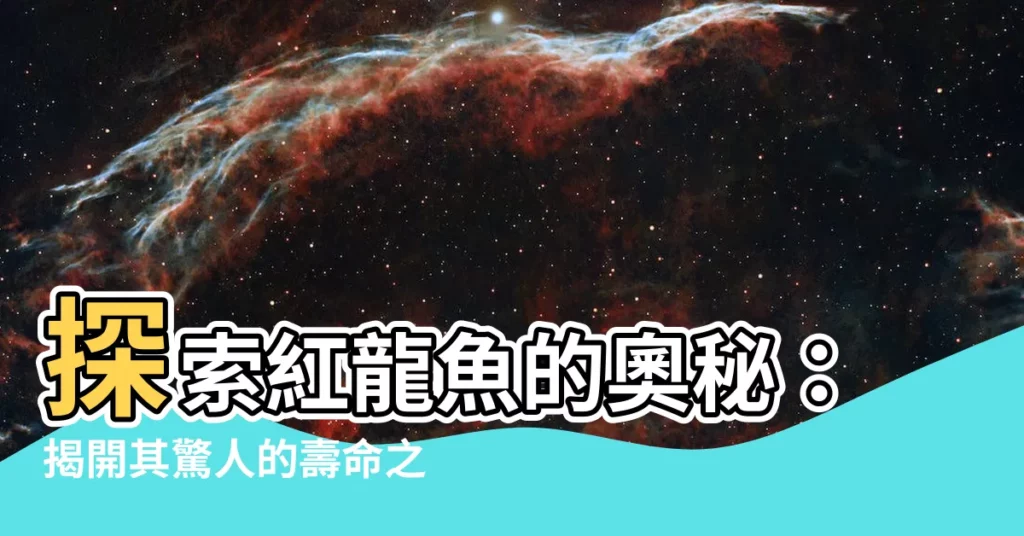 【紅龍魚壽命】探索紅龍魚的奧秘:揭開其驚人的壽命之謎