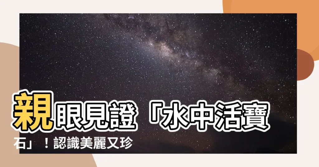 【珍珠龍魚】親眼見證「水中活寶石」!認識美麗又珍稀的珍珠龍魚