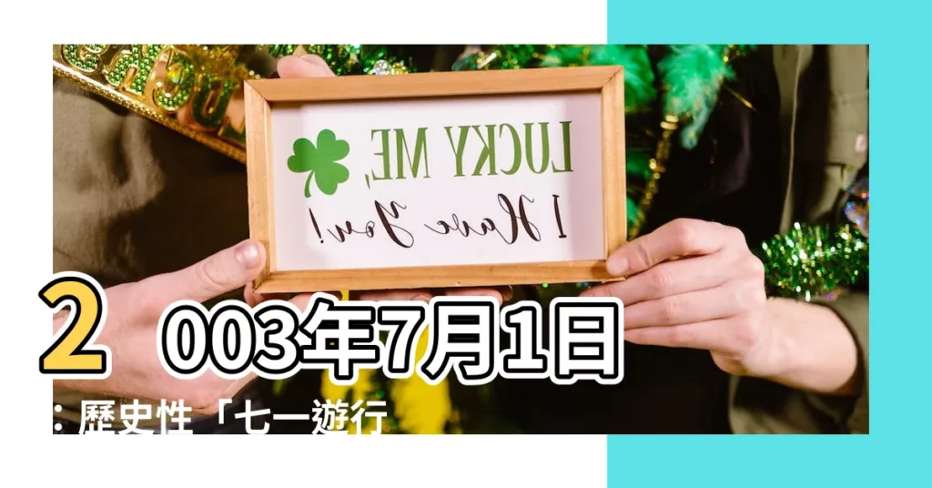 【2003年7月1日】2003年7月1日:歷史性「七一遊行」大回顧