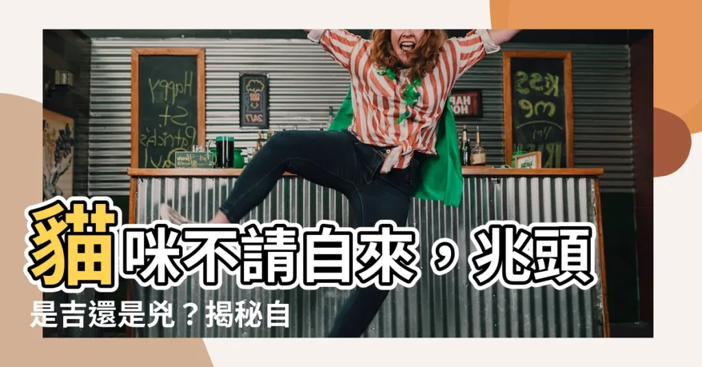 【貓不請自來】貓咪不請自來,兆頭是吉還是兇?揭秘自來貓的風水影響!