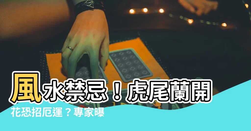 【風水禁忌虎尾蘭開花風水】風水禁忌!虎尾蘭開花恐招厄運?專家曝化解方法