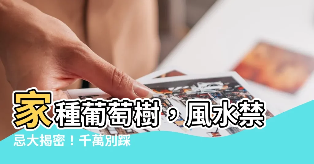 【葡萄 風水】家種葡萄樹，風水禁忌大揭密！千萬別踩雷