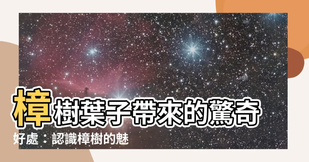 【樟樹葉子】樟樹葉子帶來的驚奇好處：認識樟樹的魅力