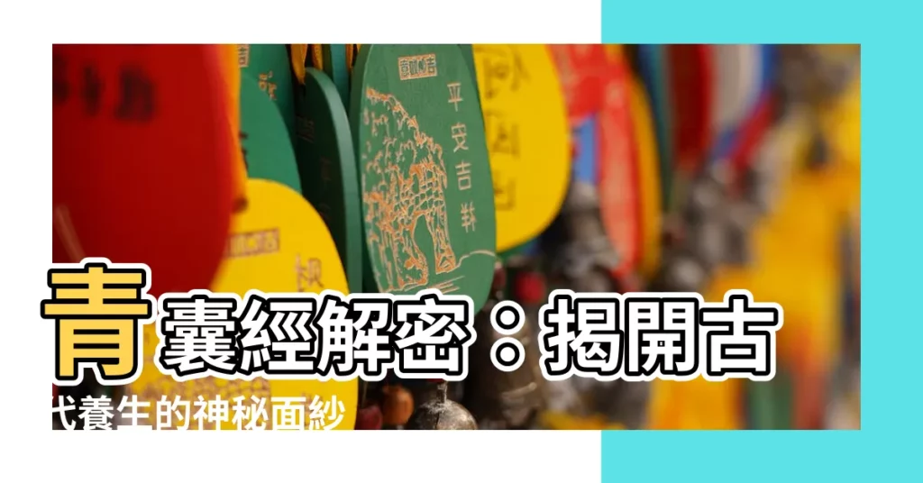 【青囊經】青囊經解密:揭開古代養生的神秘面紗
