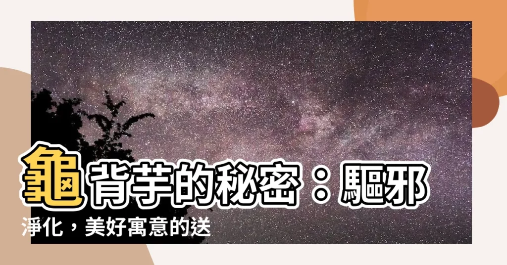 【龜背芋 寓意】龜背芋的秘密:驅邪淨化,美好寓意的送禮妙方!