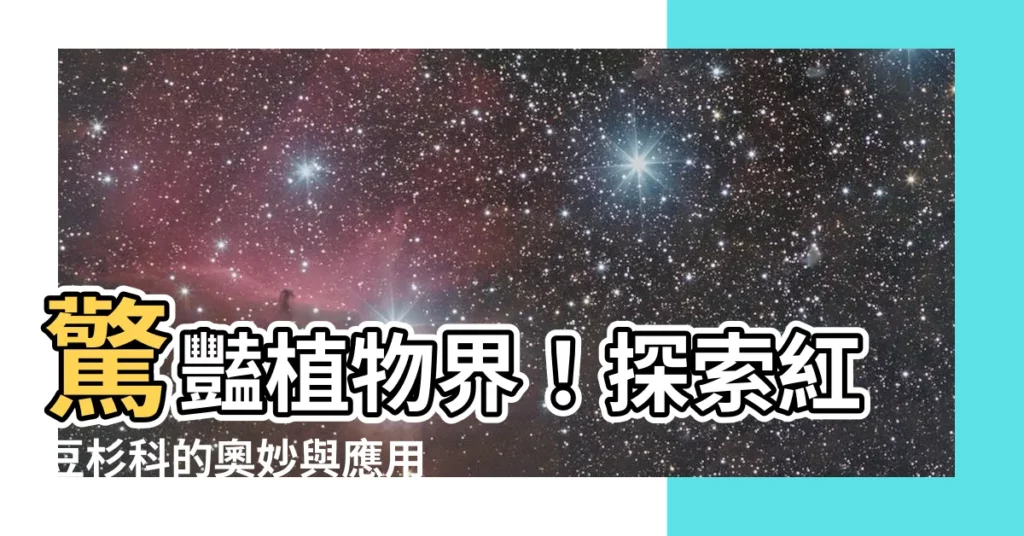 【紅豆杉科】驚豔植物界!探索紅豆杉科的奧妙與應用