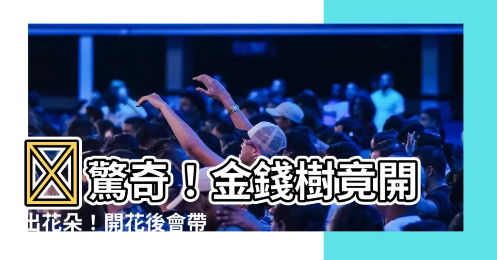 【金錢樹開花結果】💰驚奇！金錢樹竟開出花朵！開花後會帶來什麼好運？