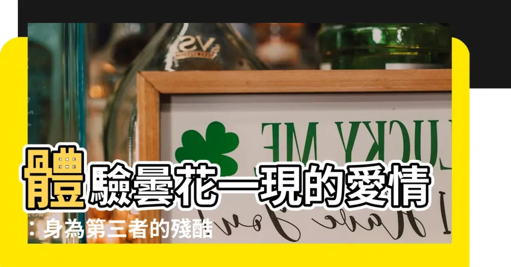 【曇花一現的愛情】體驗曇花一現的愛情：身為第三者的殘酷現實