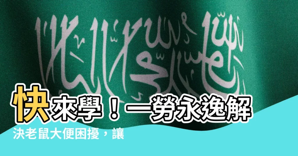 【老鼠大便的地方】快來學！一勞永逸解決老鼠大便困擾，讓你家鼠跡全無