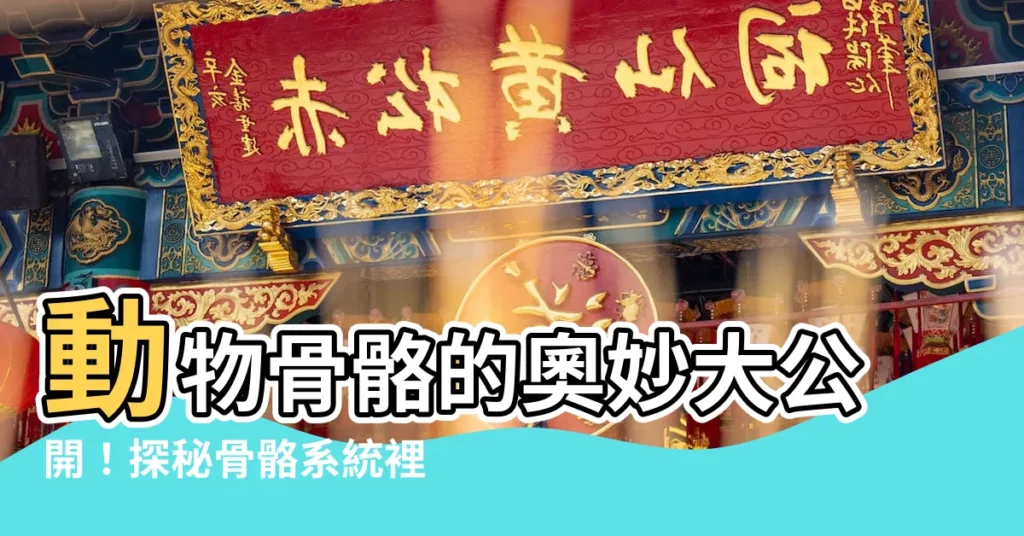 【動物骨骼】動物骨骼的奧妙大公開!探秘骨骼系統裡的奇聞軼事!