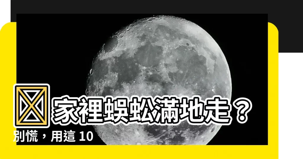 【家裏有蜈蚣怎麼辦】😨家裡蜈蚣滿地走?別慌,用這 10 招讓牠們無處可逃!