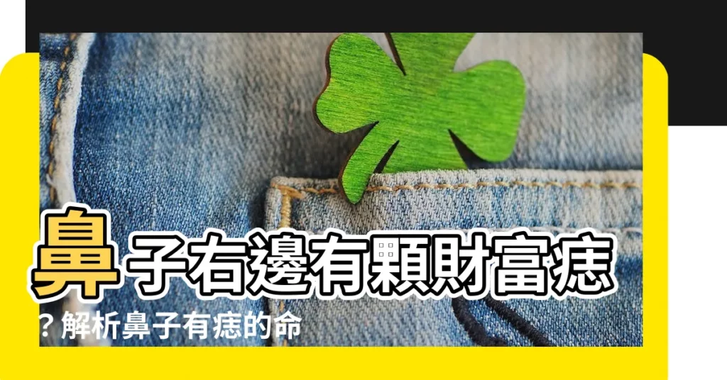 【鼻子右邊有痣】鼻子右邊有顆財富痣？解析鼻子有痣的命理財運