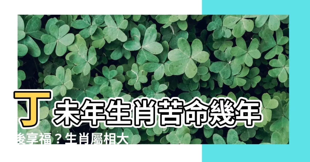 【丁未年生肖】丁未年生肖苦命幾年後享福？生肖屬相大公開！