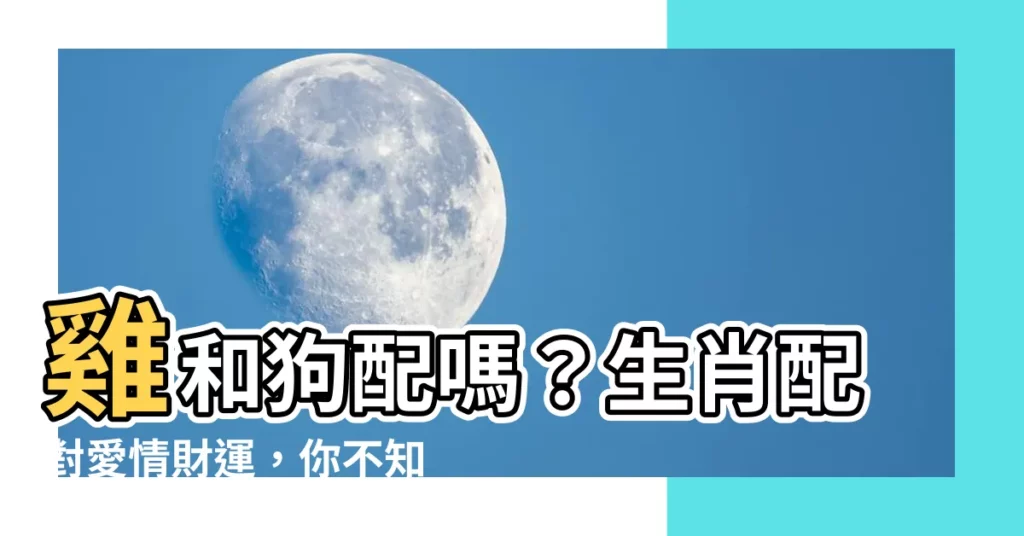 【雞和狗合嗎】雞和狗配嗎？生肖配對愛情財運，你不知道的秘密