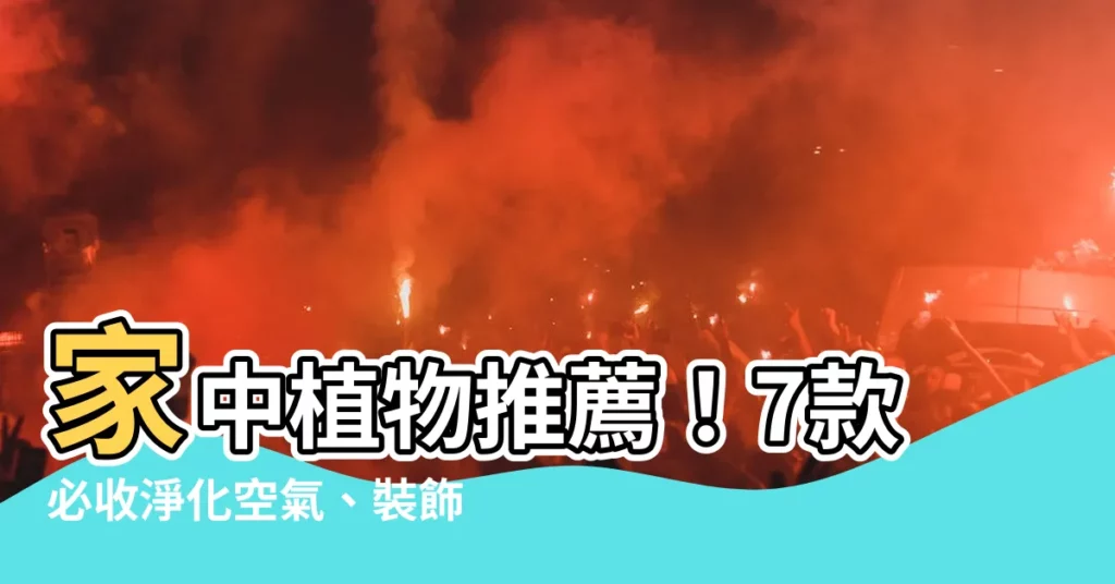 【家中植物推薦】家中植物推薦!7款必收淨化空氣、裝飾居家空間的觀葉植物