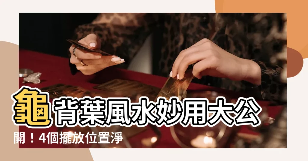 【龜背葉風水】龜背葉風水妙用大公開!4個擺放位置淨化空氣、招財增運!