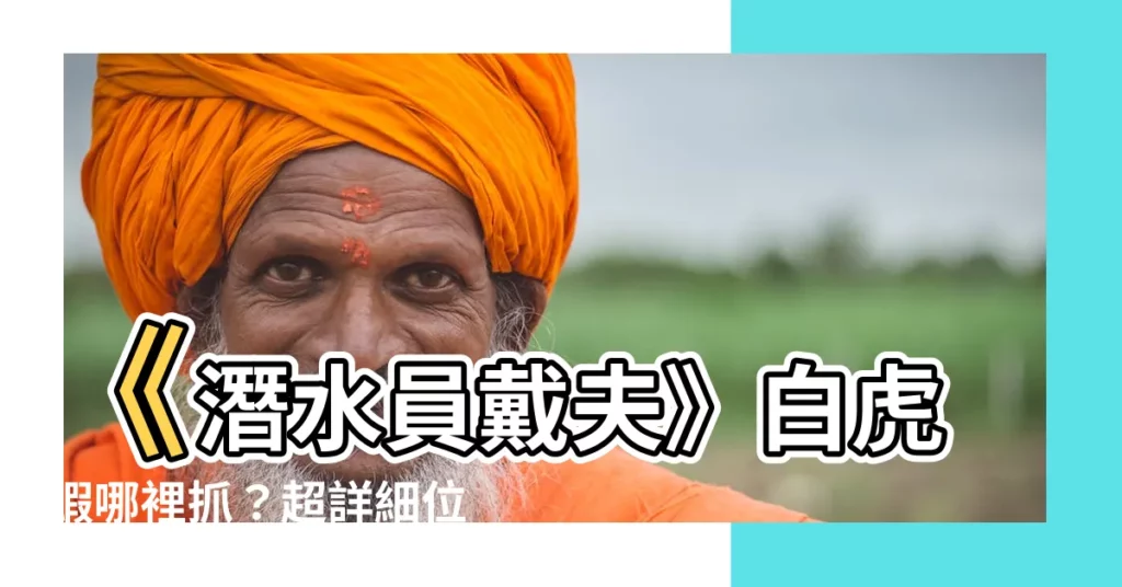 【戴夫 白虎蝦】《潛水員戴夫》白虎蝦哪裡抓？超詳細位置攻略！