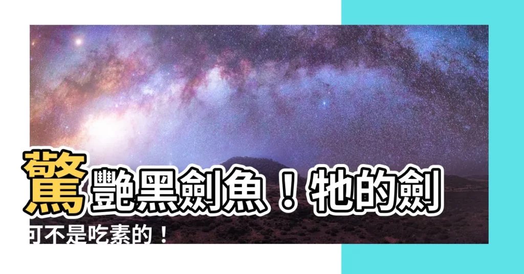 【黑劍魚】驚艷黑劍魚！牠的劍可不是吃素的！