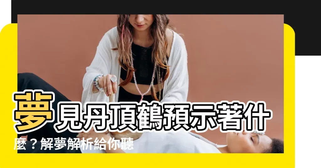 【夢見丹頂鶴】夢見丹頂鶴預示著什麼？解夢解析給你聽！