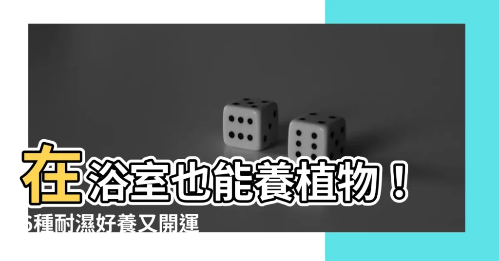 【浴室可以放什麼植物】在浴室也能養植物!6種耐濕好養又開運的浴室植物推薦