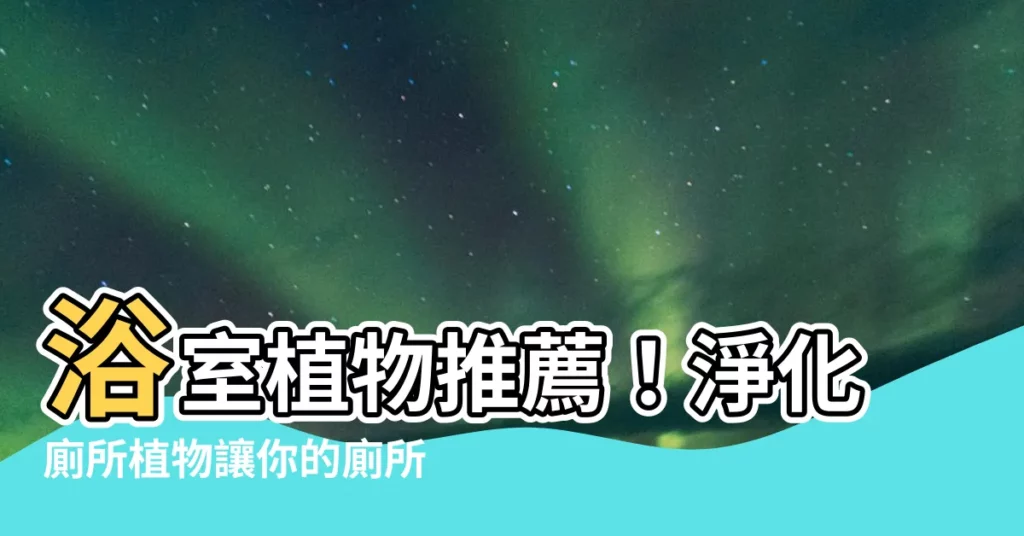 【淨化廁所植物】浴室植物推薦！淨化廁所植物讓你的廁所除臭又去濕