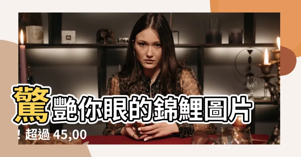 【錦鯉圖片】驚艷你眼的錦鯉圖片！超過 45,000+ 張免版税素材