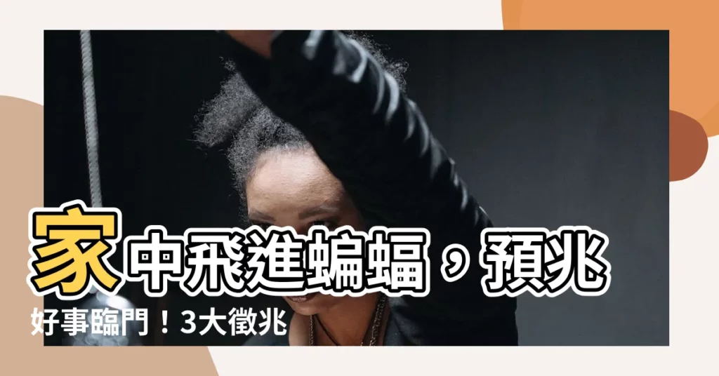 【蝙蝠入屋預兆】家中飛進蝙蝠，預兆好事臨門！3大徵兆暗示暴富