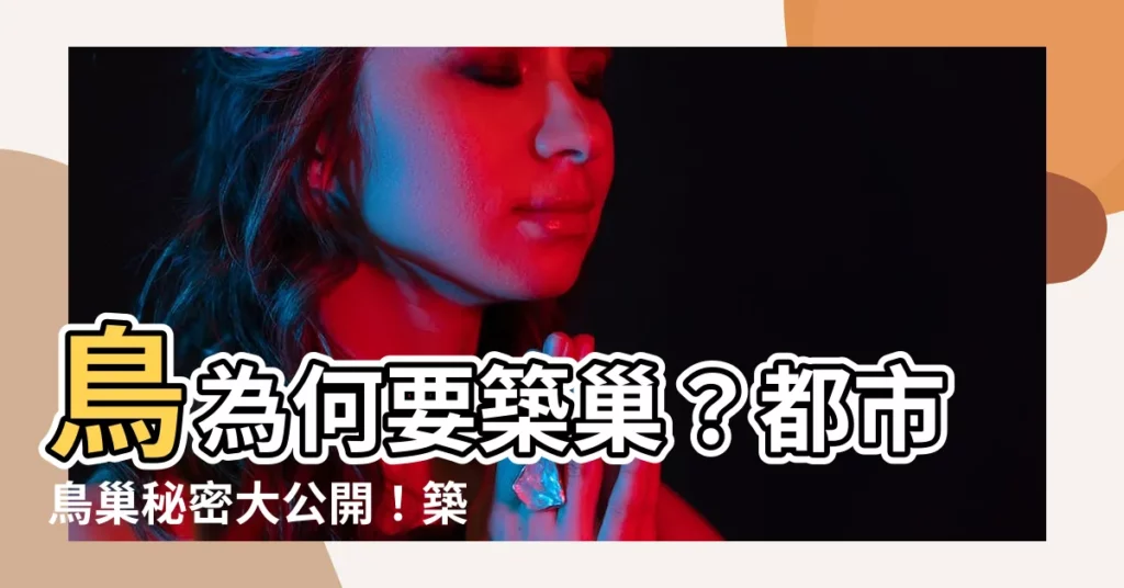 【鳥築巢原因】鳥為何要築巢?都市鳥巢秘密大公開!築巢原因解密