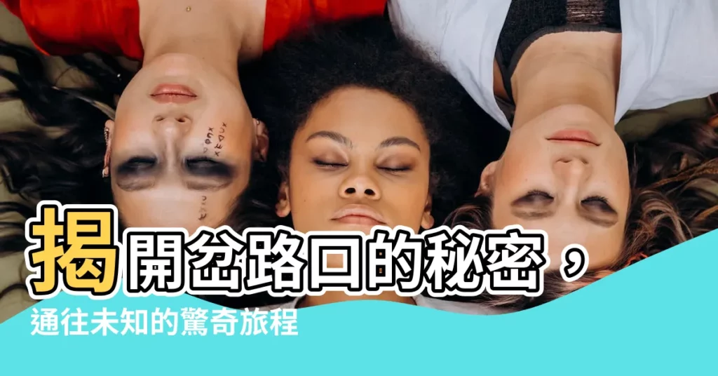 【岔路口】揭開岔路口的秘密,通往未知的驚奇旅程