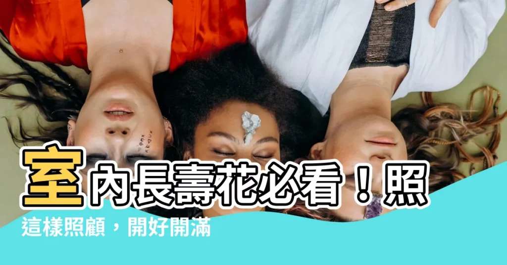 【長壽花 室內】室內長壽花必看！照這樣照顧，開好開滿花期長！