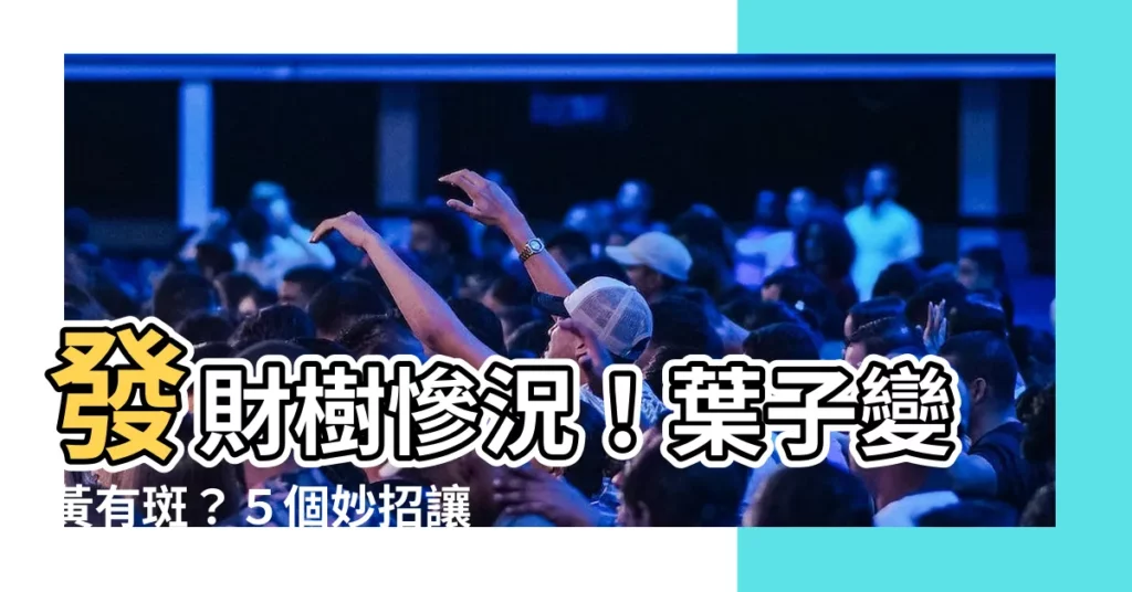 【發財樹 葉子變黃】發財樹慘況！葉子變黃有斑？５個妙招讓發財樹葉子綠得像翡翠！