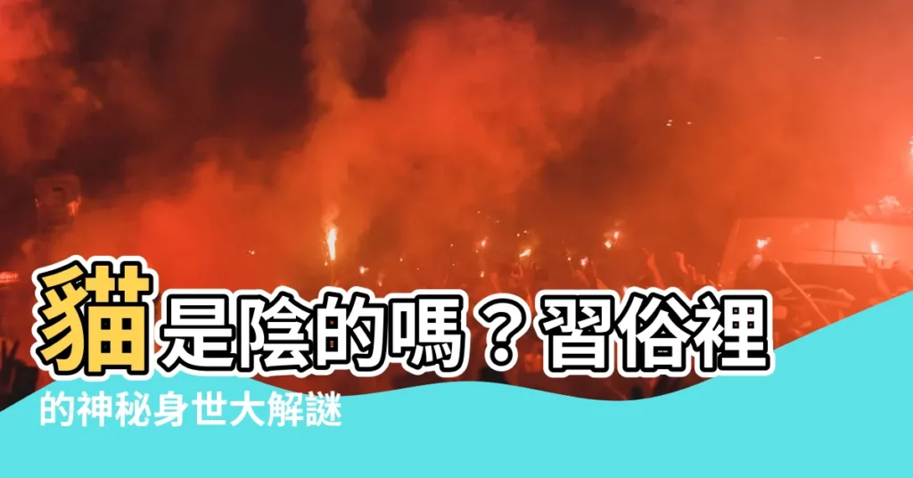 【貓是陰的嗎】貓是陰的嗎?習俗裡的神秘身世大解謎