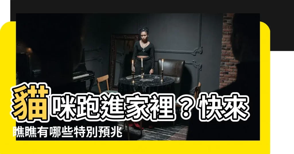 【貓咪跑進家裡】貓咪跑進家裡？快來瞧瞧有哪些特別預兆！