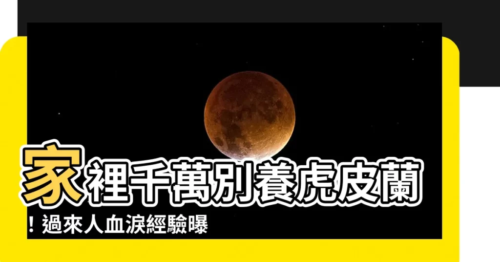 【家裡為什麼不能養虎皮蘭】家裡千萬別養虎皮蘭!過來人血淚經驗曝2大驚人內幕