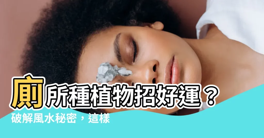 【廁所種植物風水】廁所種植物招好運？破解風水秘密，這樣擺就能化煞開運！