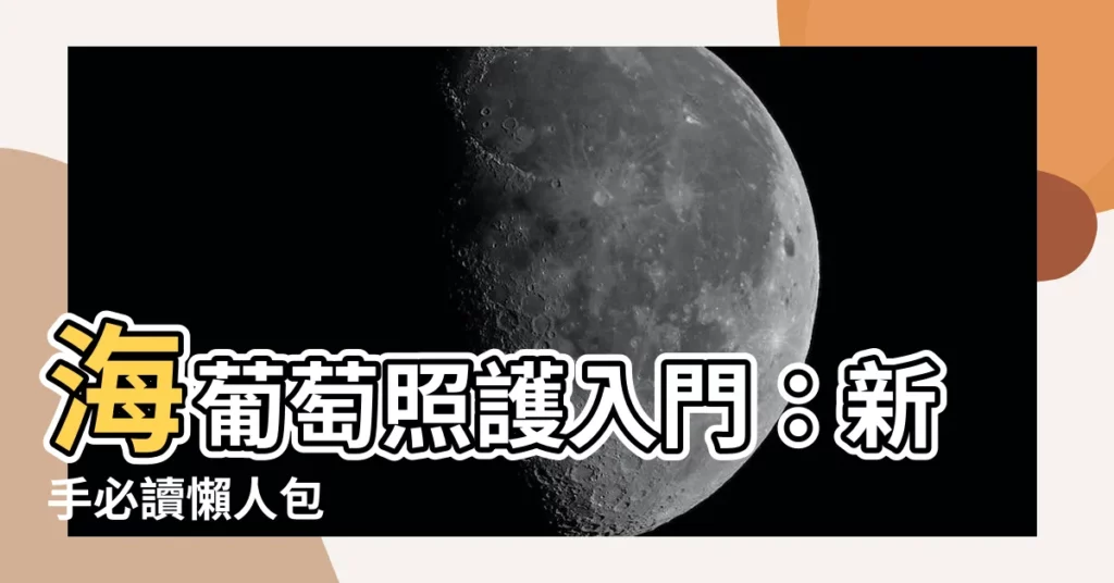 【海葡萄 照顧】海葡萄照護入門:新手必讀懶人包