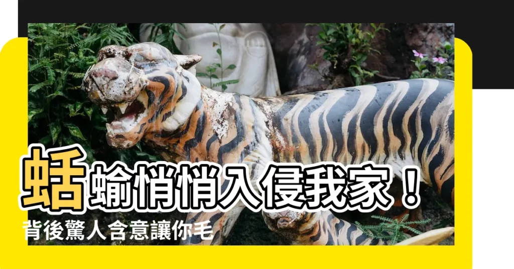 【家裡出現蛞蝓】蛞蝓悄悄入侵我家！背後驚人含意讓你毛骨悚然！