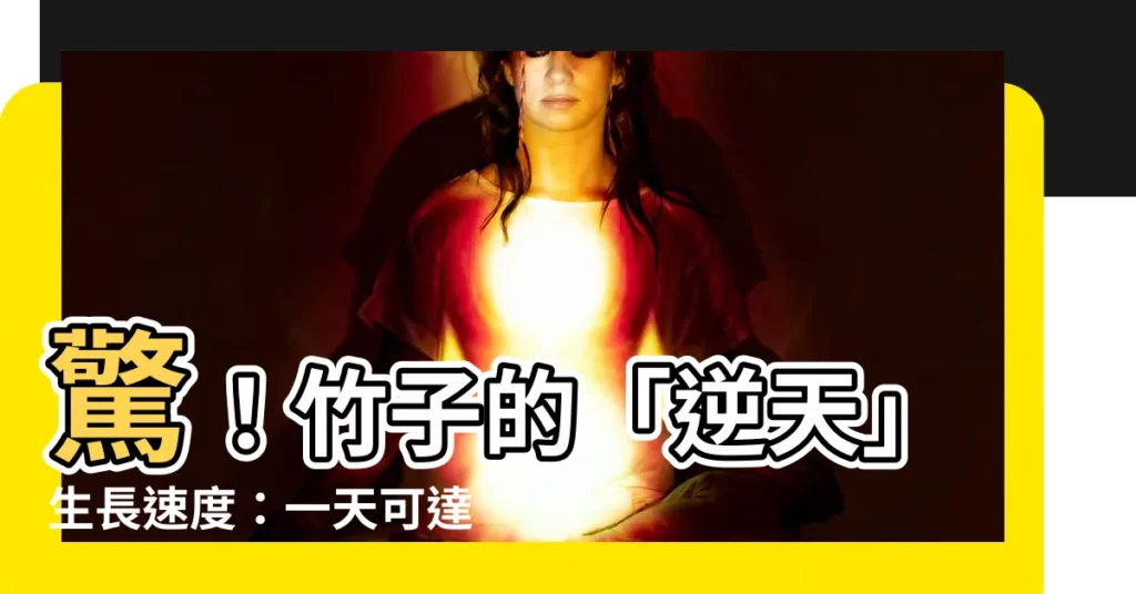 【竹子生長速度】驚！竹子的「逆天」生長速度：一天可達幾公分？