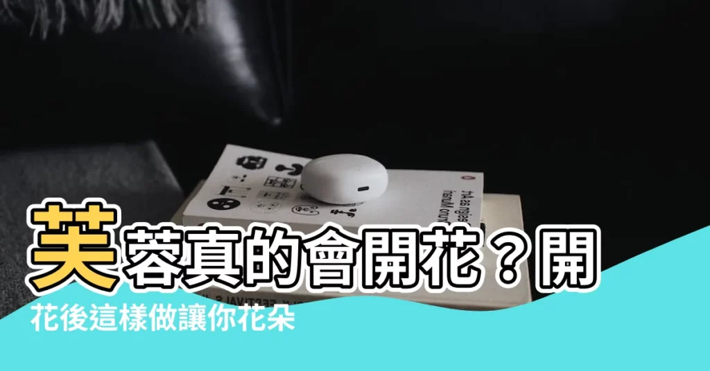 【芙蓉會開花嗎】芙蓉真的會開花？開花後這樣做讓你花朵生生不息！