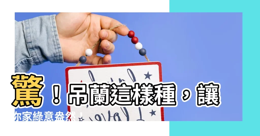 【弔蘭】驚！吊蘭這樣種，讓你家綠意盎然！