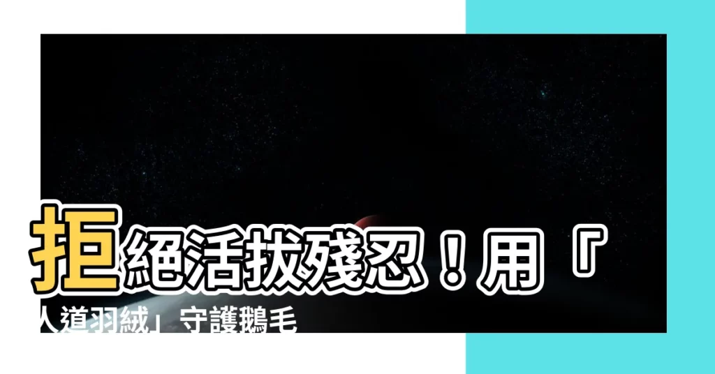【鵝毛】拒絕活拔殘忍!用「人道羽絨」守護鵝毛的尊嚴
